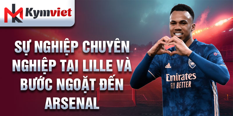 Sự nghiệp chuyên nghiệp tại Lille và bước ngoặt đến Arsenal