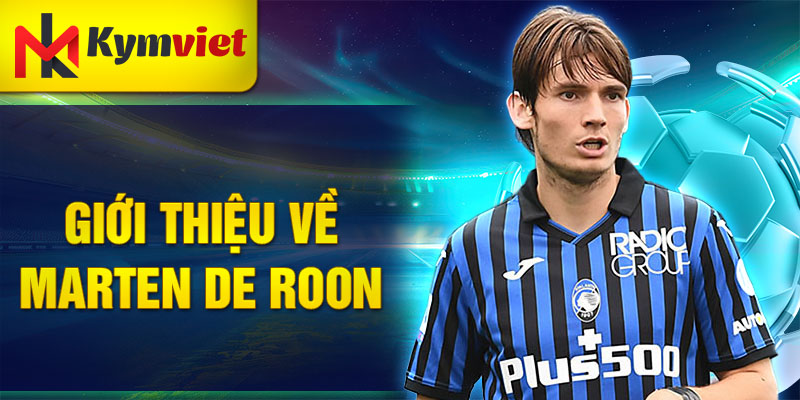 Giới thiệu về Marten de Roon