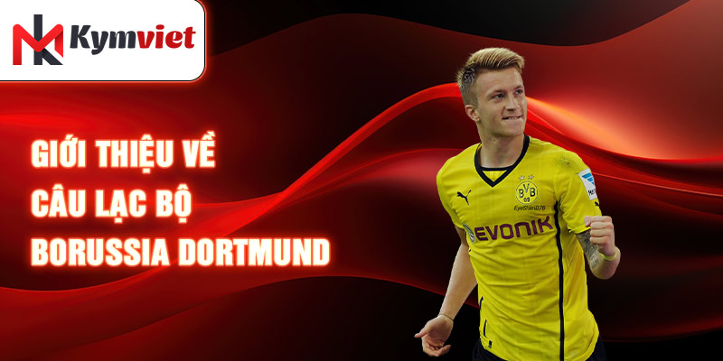 Giới thiệu về câu lạc bộ Borussia Dortmund