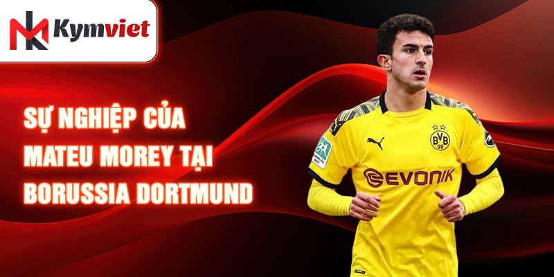 Sự nghiệp của Mateu Morey tại Borussia Dortmund