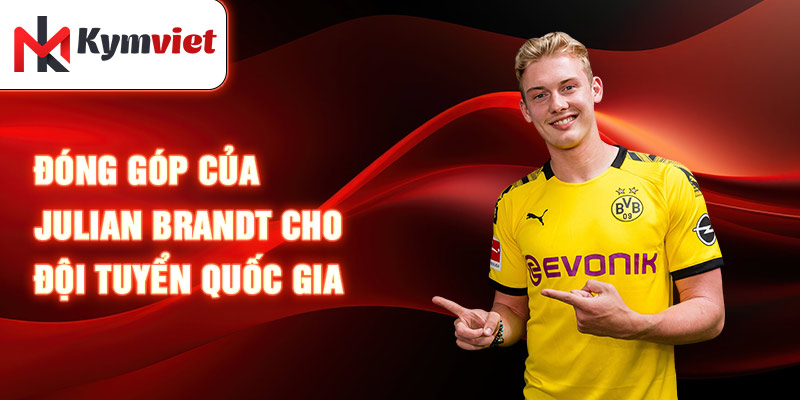 Đóng góp của Julian Brandt cho đội tuyển quốc gia